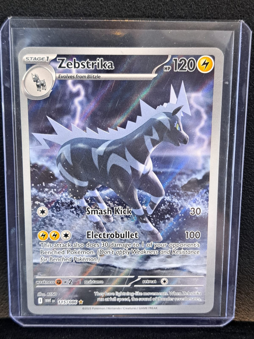 Zebstrika - SV: White Flare - 115/086